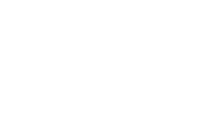 BRS Belausteguigoitia & Rodríguez Solana